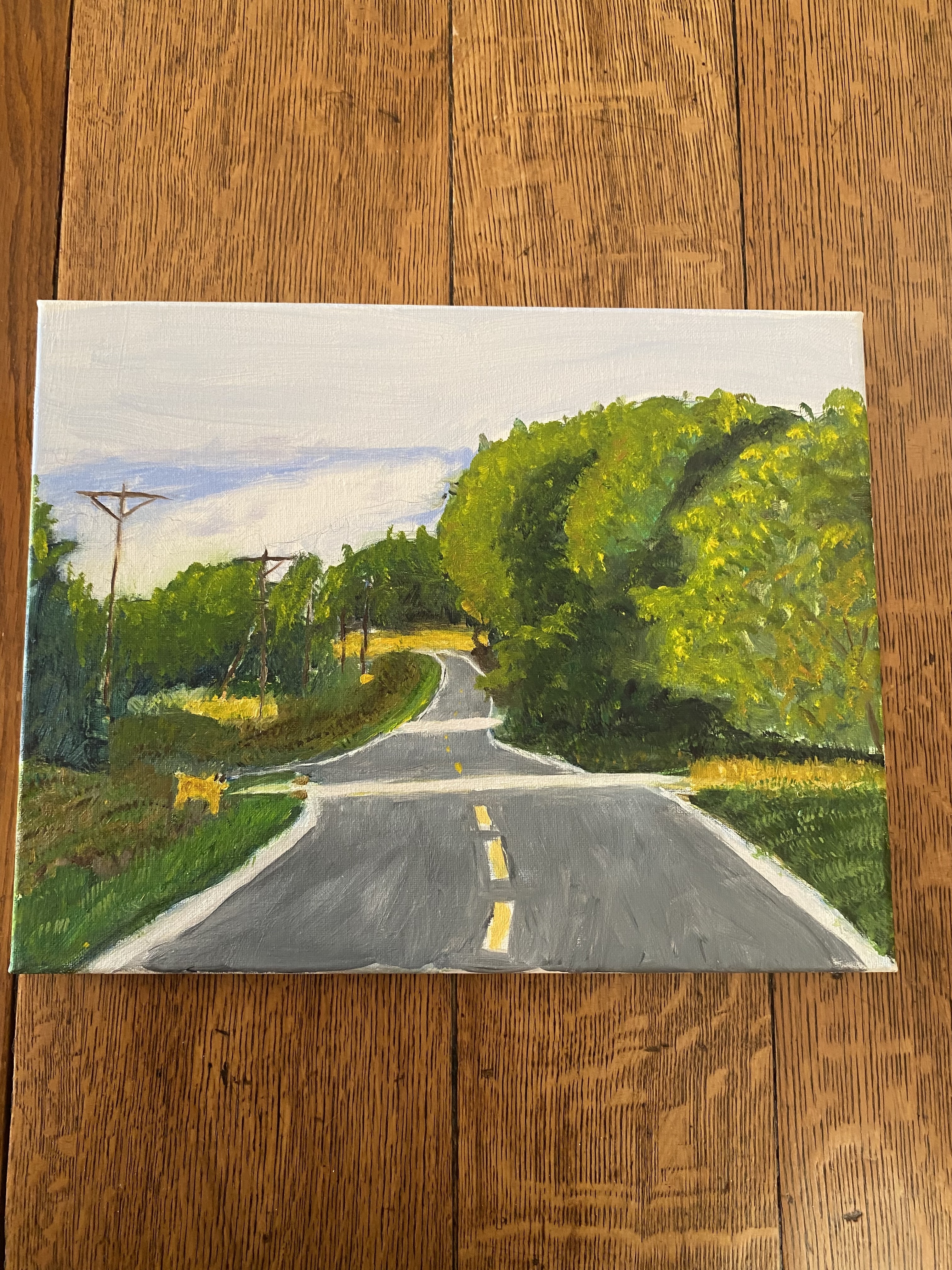 Road and Trees